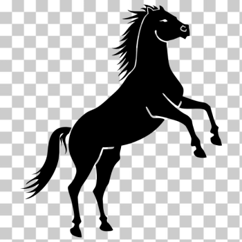 SVG Wild horse SVG Wild horse