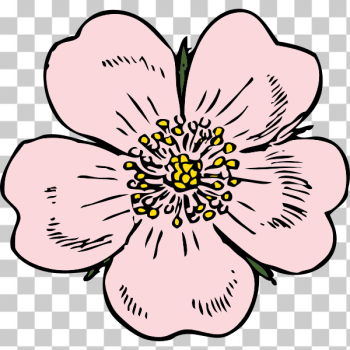 SVG wild rose SVG wild rose