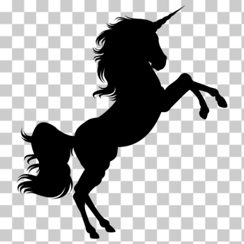 SVG Wild unicorn SVG Wild unicorn