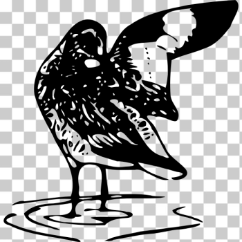 SVG Willet vector image SVG Willet vector image