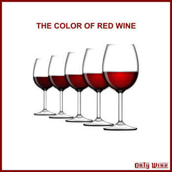 SVG Wine glasses SVG Wine glasses