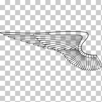 SVG wing mitchell johnson si SVG wing mitchell johnson si