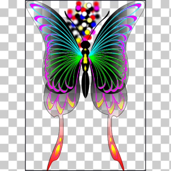 SVG Wings with color SVG Wings with color