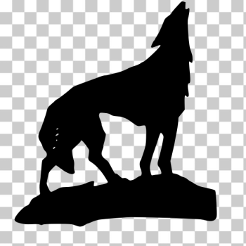 SVG Wolf vector silhouette SVG Wolf vector silhouette