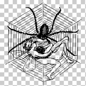 SVG Woman and spider illustration SVG Woman and spider illustration