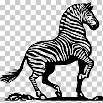 SVG wood cut zebra SVG wood cut zebra