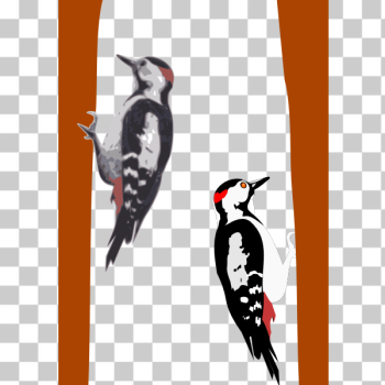 SVG woodpecker SVG woodpecker