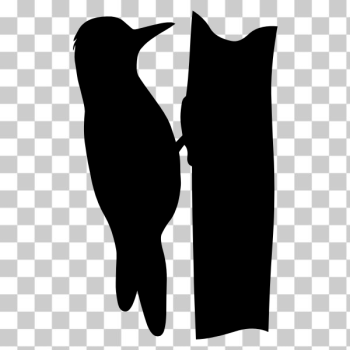 SVG Woodpecker silhouette SVG Woodpecker silhouette