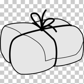 SVG Wrapped package SVG Wrapped package