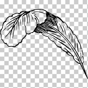 SVG Writing feather SVG Writing feather