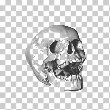 SVG Yawning skull image SVG Yawning skull image