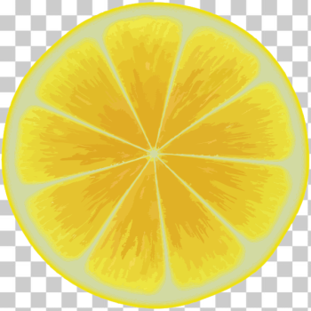 SVG Yellow citrus slice SVG Yellow citrus slice