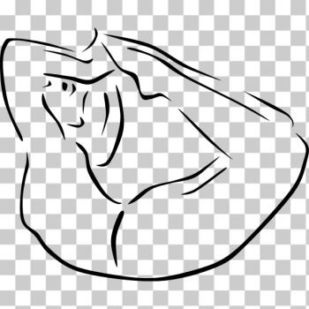 SVG Yoga Poses stylized SVG Yoga Poses stylized