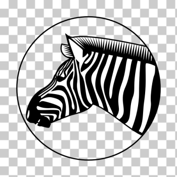 SVG Zebra animal silhouette SVG Zebra animal silhouette