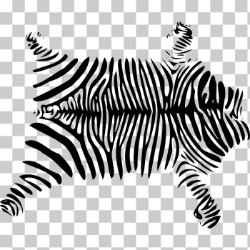 SVG Zebra Skin SVG Zebra Skin