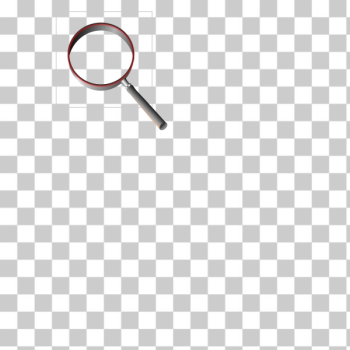 SVG Zoom search
