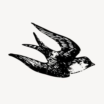 Swallow bird, animal illustration vector. | Free Vector Illustration - rawpixel Swallow bird, animal illustration vector. | Free Vector Illustration - rawpixel