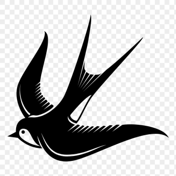 Swallow bird png sticker, animal | Free PNG - rawpixel Swallow bird png sticker, animal | Free PNG - rawpixel