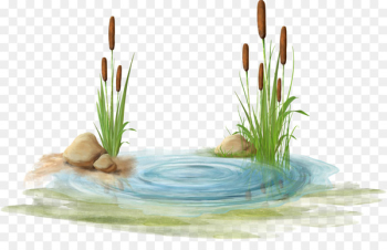 Swamp Clip art - Watermark blue stone 