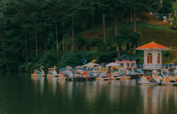 Swan Boats Swan Boats
