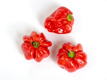 Sweet bell peppers | Free stock photo - 94755 Sweet bell peppers | Free stock photo - 94755