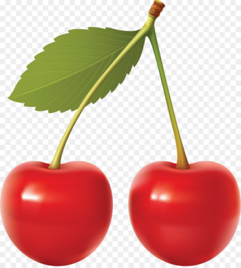 Sweet Cherry Sour Cherry Cherry pie Flanders red ale - Cherry 