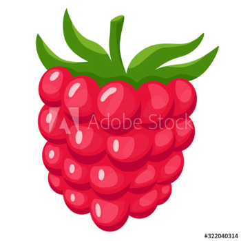 Sweet delicious raspberry