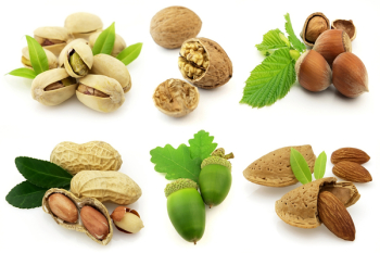 Sweet nuts Sweet nuts