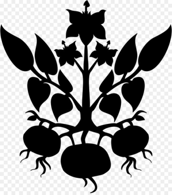 Sweet Potato Pie, Potato, Sweet Potatoes, Leaf, Botany PNG Sweet Potato Pie, Potato, Sweet Potatoes, Leaf, Botany PNG