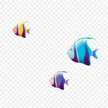 Swimming Fish - Swimming fish Swimming Fish - Swimming fish