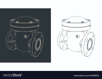 swing check valve