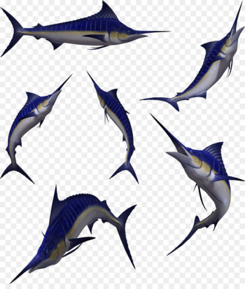 Swordfish Atlantic blue marlin Clip art - fish balls 