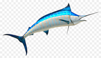 Swordfish Fishing - Fish Swordfish Fishing - Fish
