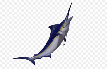 Swordfish Marlin 3D computer graphics - 3d Animals Marine creative 