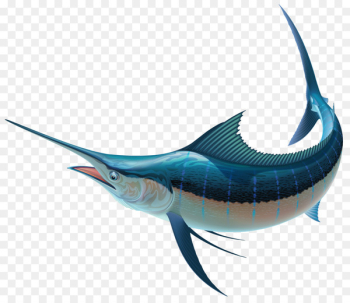 Swordfish Recreational fishing Sailfish Clip art - under sea 