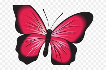 Symmetry Clipart Nature Clipart - Symmetry Clipart Nature Clipart Symmetry Clipart Nature Clipart - Symmetry Clipart Nature Clipart