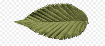 Symmetry Nature - leaf swag 