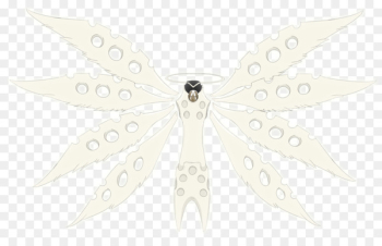 Symmetry, White, Insect PNG Symmetry, White, Insect PNG