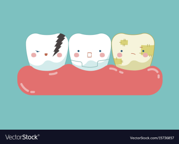 Symptom of dental teeth and tooth concept of dent vector image