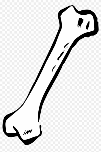 T-bone - Clipart - Bone Clipart