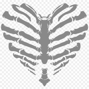 T-shirt Human skeleton Heart Rib cage - Vector human skeleton 