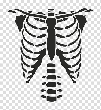 T-shirt Rib cage Roblox Hoodie, T-shirt transparent background PNG clipart T-shirt Rib cage Roblox Hoodie, T-shirt transparent background PNG clipart