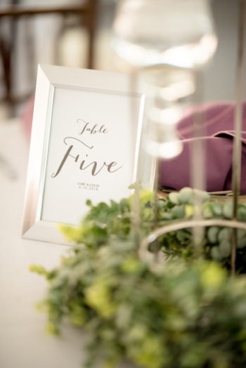 Table Five Text With Frame Beside Plant Table Five Text With Frame Beside Plant