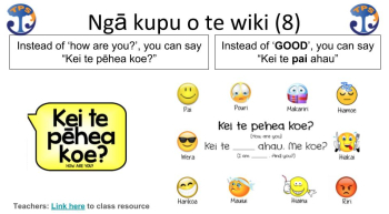 Takaka Primary School » TPS Bilingual Whānau Classroom