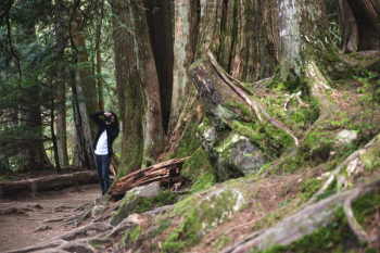 Taking Forest Pictures