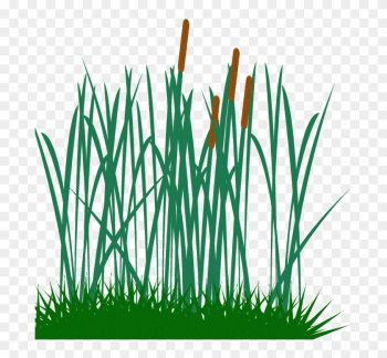 Tall Grass Clip Art Png Image - Tall Grass Vector