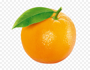 Tangerine Clementine Orange Fruit - Orange fruit Tangerine Clementine Orange Fruit - Orange fruit