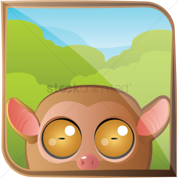 Tarsier monkey Tarsier monkey