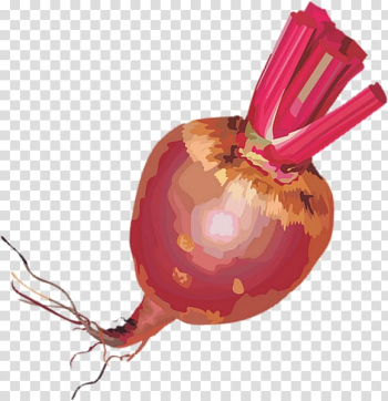 Tart Vegetable Beetroot Shallot Chard, beetroot transparent background PNG clipart Tart Vegetable Beetroot Shallot Chard, beetroot transparent background PNG clipart