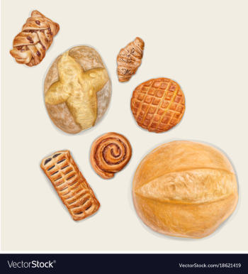 Tasty bakery top view vector image Tasty bakery top view vector image